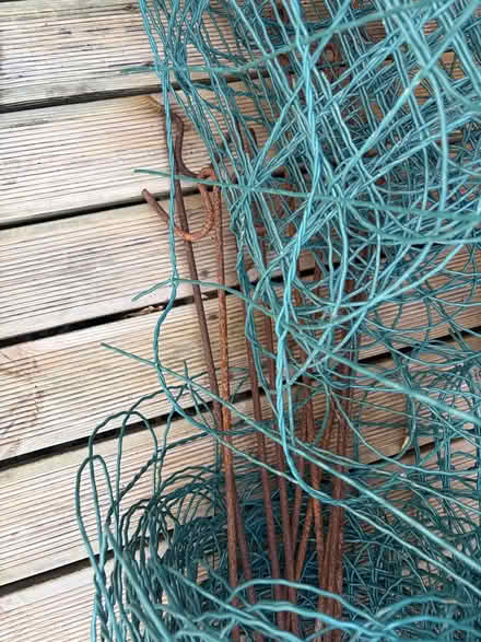 Photo of free Garden wire fence (Pembury TN2) #4