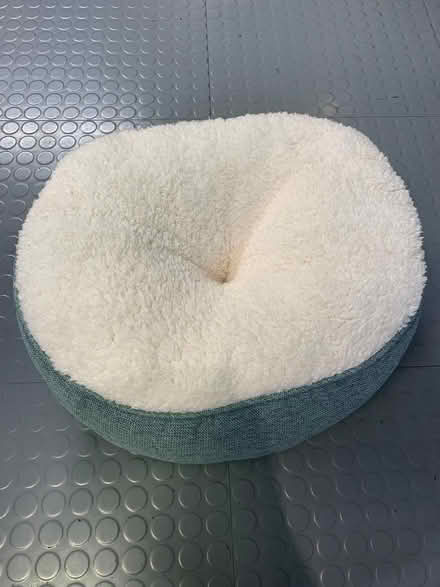 Photo of free Cat bed (Fitzrovia, W1W) #2