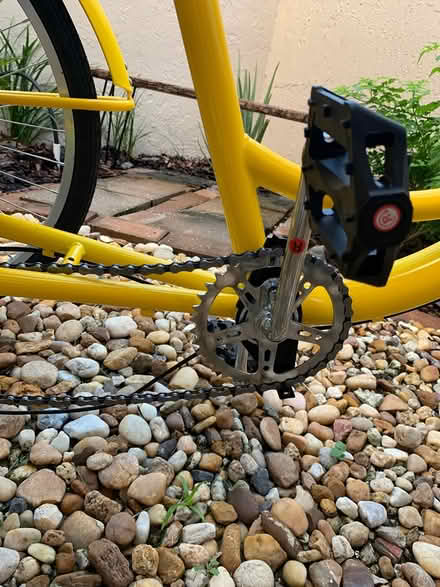 Photo of free Adult Tricycle with everything (Winter Haven Fl 33884) #4