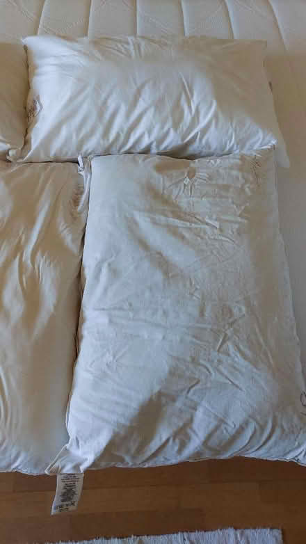 Photo of free Pillows (Flitton MK45) #1