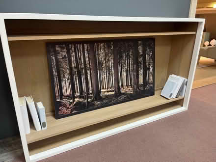 Photo of free neptune bookcase (Gorgie EH11) #3