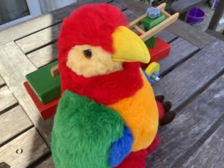 Photo of free Soft Toy Parrot. (Fernhill GU17) #1