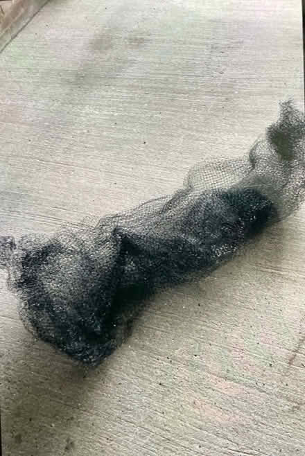 Photo of free Garden netting (Chesterfield S40) #1