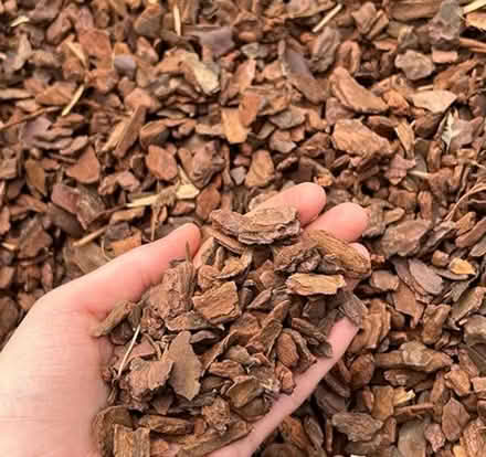 Photo of Garden gravel/bark (Prenton CH43) #1