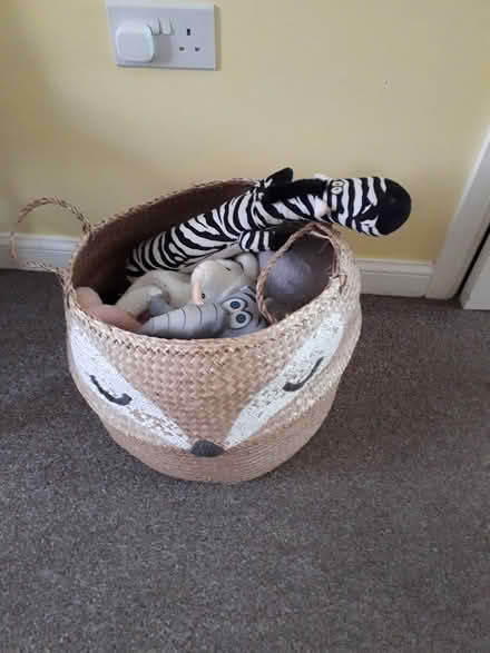 Photo of free Dog Toys Suit Med or Large Dog (Frampton Cotterell BS36) #1