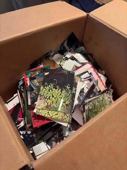 Photo of free Photographs (Burlington) #1