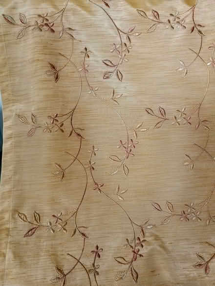 Photo of free pair of curtains (Daybrook NG5) #1