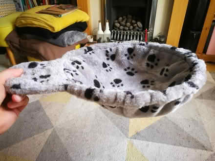 Photo of free Cat hanging bed (Hereford HR1) #1