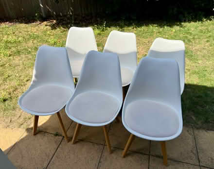Photo of free Dining chairs (South Croydon CR2) #1
