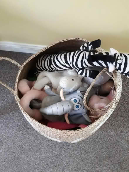 Photo of free Dog Toys Suit Med or Large Dog (Frampton Cotterell BS36) #2