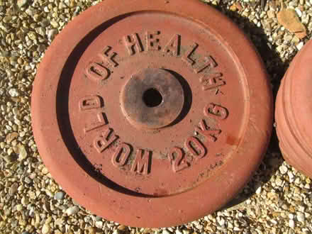Photo of free Pair of 20kg weight plates (Colchester CO4) #1