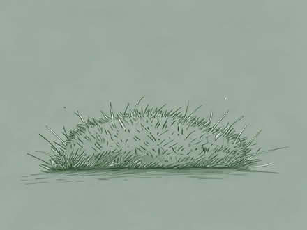 Photo of free Offcuts of fake grass (Benson OX10) #1