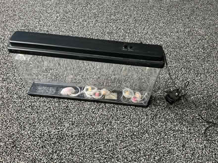 Photo of free Bubble lamp and jellyfish lamp (Bailiff Bridge HD6) #2