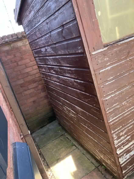 Photo of free Garden Shed (Clevedon BS21) #4