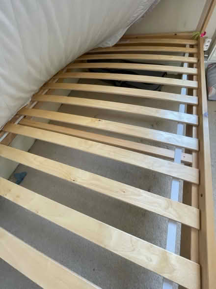 Photo of free Single bed and mattress (Mill Hill (NW7)) #2