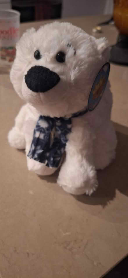 Photo of free White teddy bear (TW8) #1