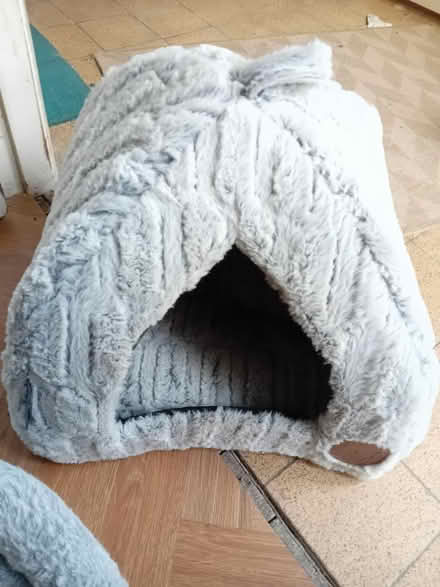 Photo of free Cat Tree, Window Perch & Igloo (Waddon CR0) #2