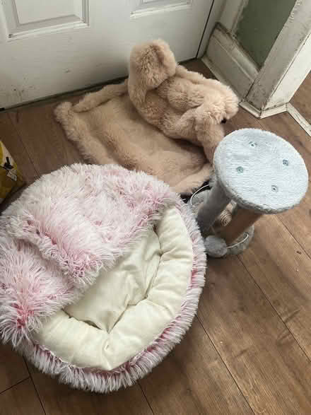 Photo of free Cat items unused (Salford 6 M6 8) #1