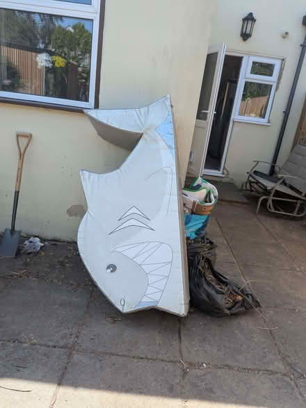 Photo of free Soft play shark (Ashford TW15) #1