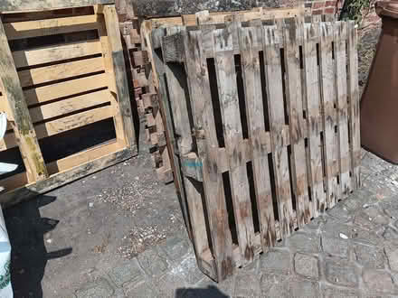 Photo of free Pallets (Ticknall DE73) #2