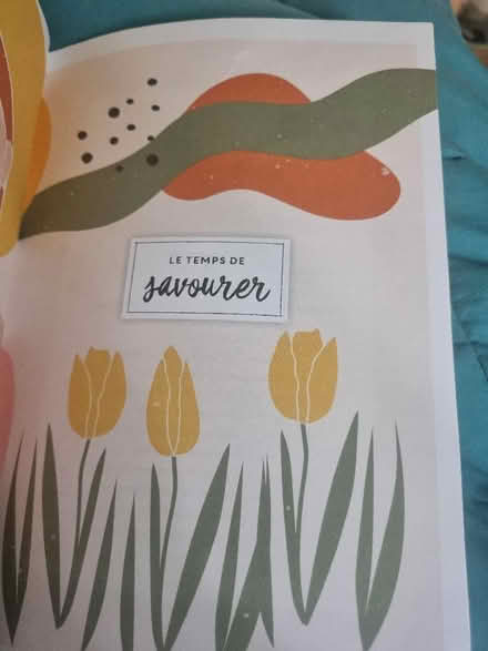 Photo of free French note book/journal.. (Alperton HA0) #3