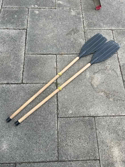 Photo of free oars, paddles (Catford) #1