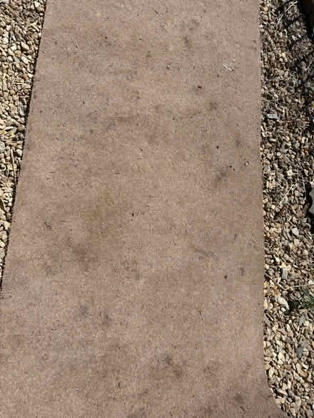 Photo of free Piece of beige carpet (Iver Heath SL0) #1
