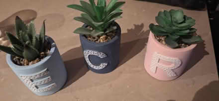 Photo of free Fake plants with letters (TW8) #1