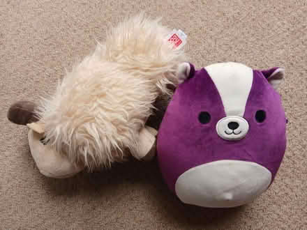 Photo of free Soft toys (Maidstone ME17) #1