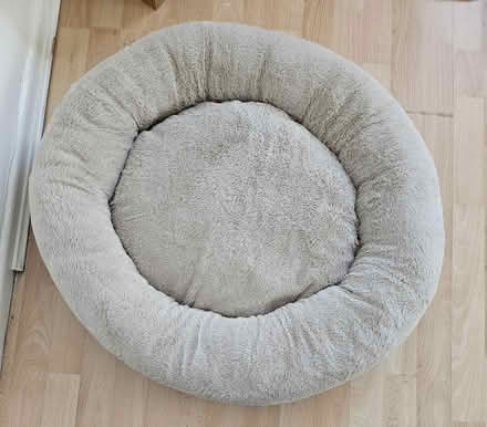 Photo of free Small bed (Levenshuleme M19) #1