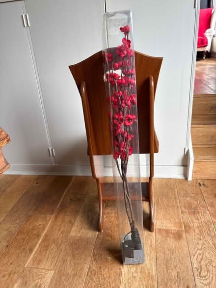 Photo of free Light up flower sprays (Drum Brae EH4) #1