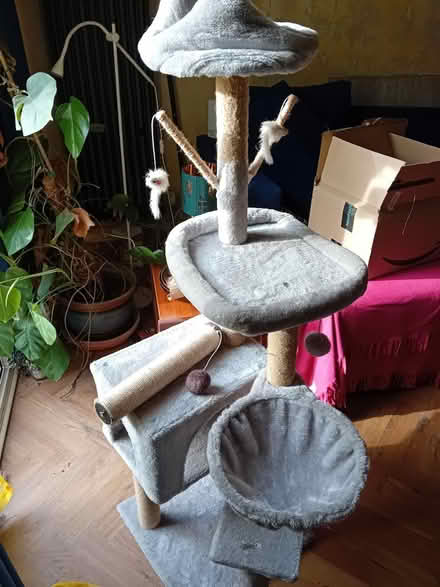 Photo of free Cat Tree, Window Perch & Igloo (Waddon CR0) #4