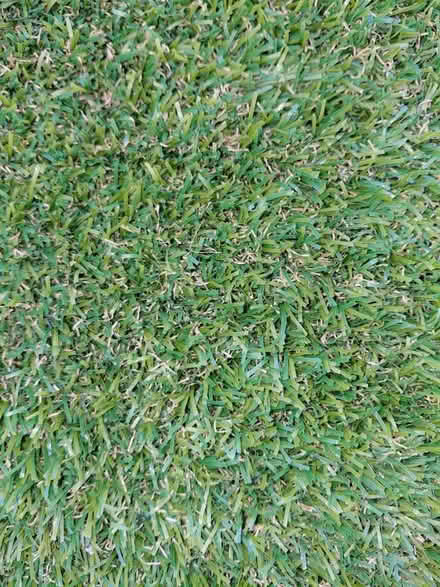 Photo of free New astro turf (Innaloo) #2