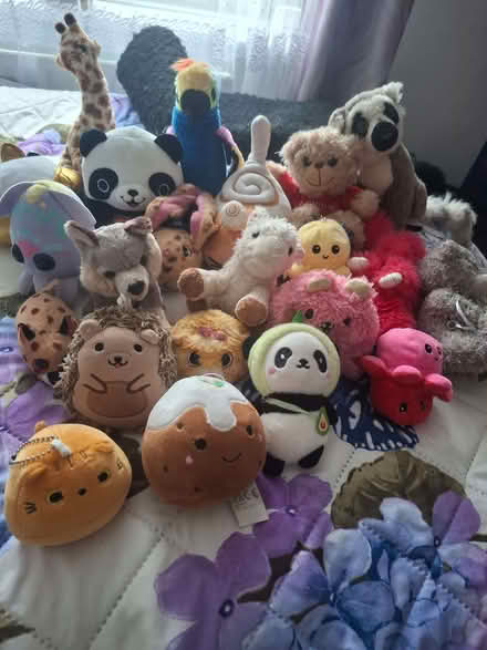 Photo of free Plush Toys (Penrith CA11) #1