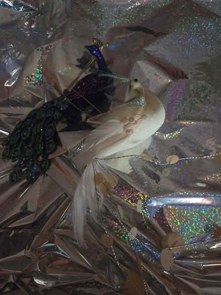 Photo of free peacock ornaments (Manville) #1