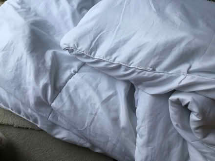 Photo of free Double duvet (Millhouses S7) #1