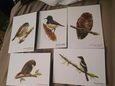 Photo of free Set of 5x bird postcards unused (Westbury BA13) #1