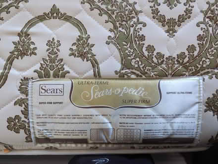 Photo of free Single bed (Glebe) #3