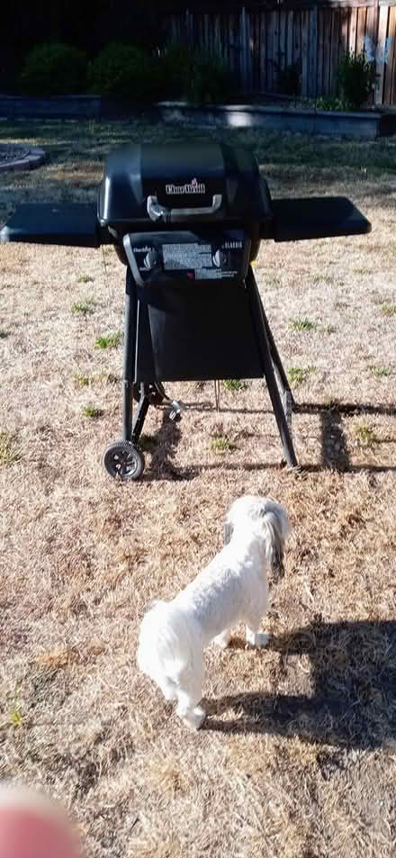 Photo of free small gas barbeque (west Roseville) #1