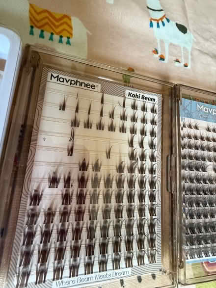 Photo of free Brown cluster lashes (Marshalswick AL4) #3