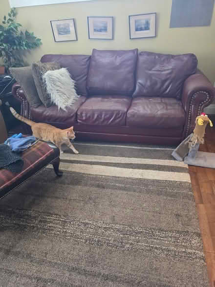 Photo of free Extra Large 3 seater couch leather (Weller and Wallis) #2