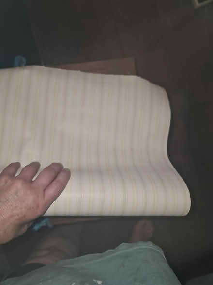 Photo of free Wallpaper with yellow+sage stripes (Hackney E8) #4