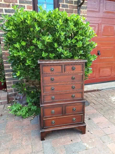 Photo of free drawer unit (Bexhill) #2