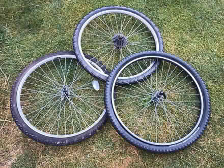 Photo of free Bicycle Tyres (Nuthall NG16) #1