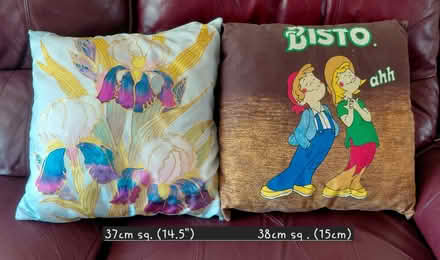 Photo of free Cushions (Twyford RG10) #1