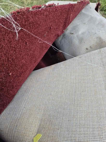 Photo of free Burgundy wool carpet (Sherwood NG5) #1