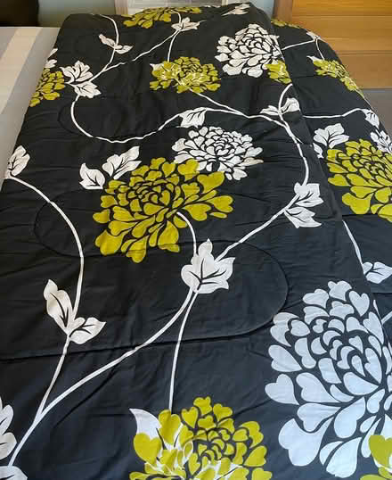 Photo of free 2 x matching large sleeping bags (CH43) #2