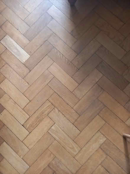 Photo of free Reclaimed parquet floor blocks (Wood Green, N22) #3