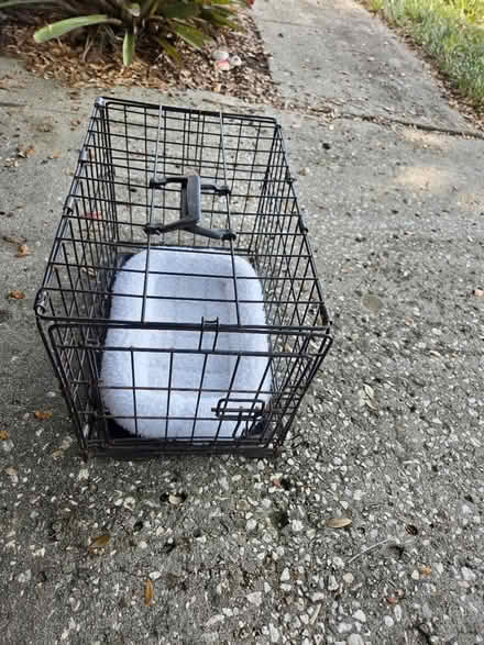 Photo of free Small pet crate (palm harbor CR 1 Tpa Road) #1