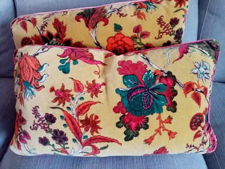 Photo of free 2 velvet cushions (Pimlico, SW1) #1
